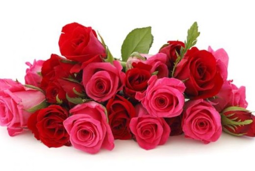 Kerajinan Bunga Mawar dari Plastik Kresek Bekas