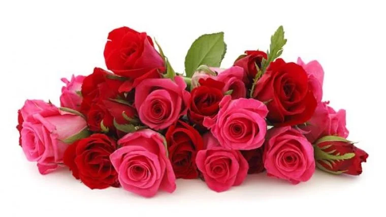 Kerajinan Bunga Mawar dari Plastik Kresek Bekas